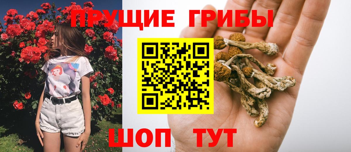 Псилоцибиновые грибы Cubensis Ярцево