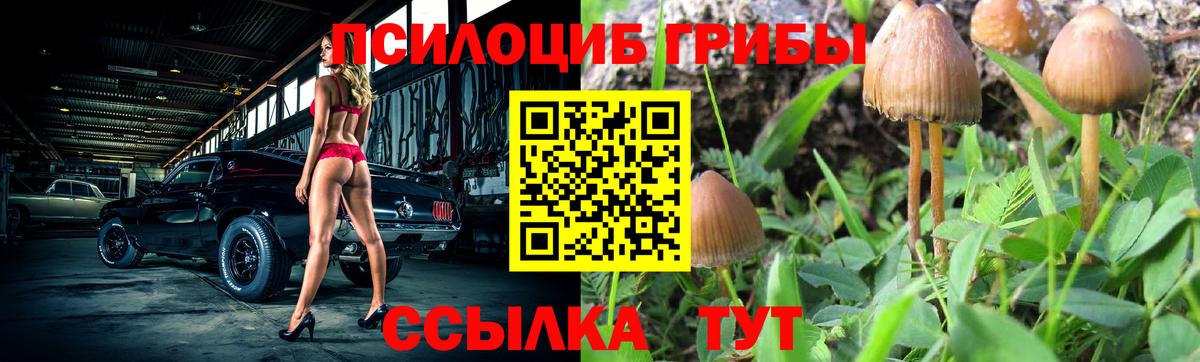 Псилоцибиновые грибы Magic Shrooms  Вход с VPN  Ярцево 